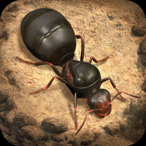 The Ants Underground Kingdom Codes artwork